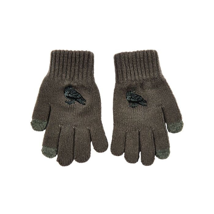 Pair of grey globes with black raven 