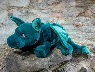 Teddy bears and soft toys