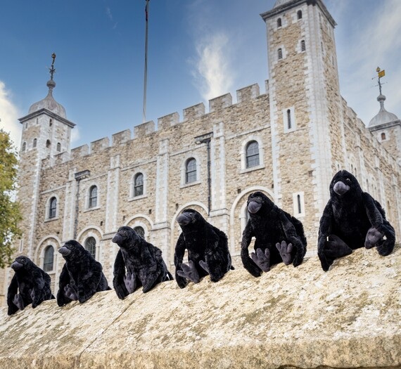 Six black raven plush toys sat on a wall at the Tower of London with the White Tower in the background.